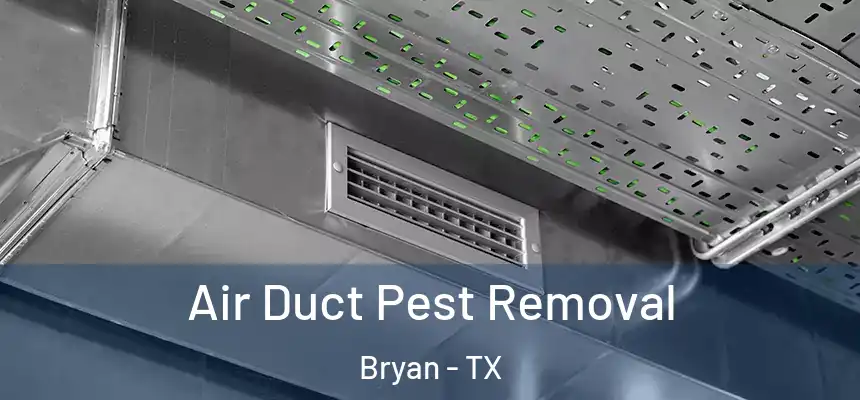 Air Duct Pest Removal Bryan - TX