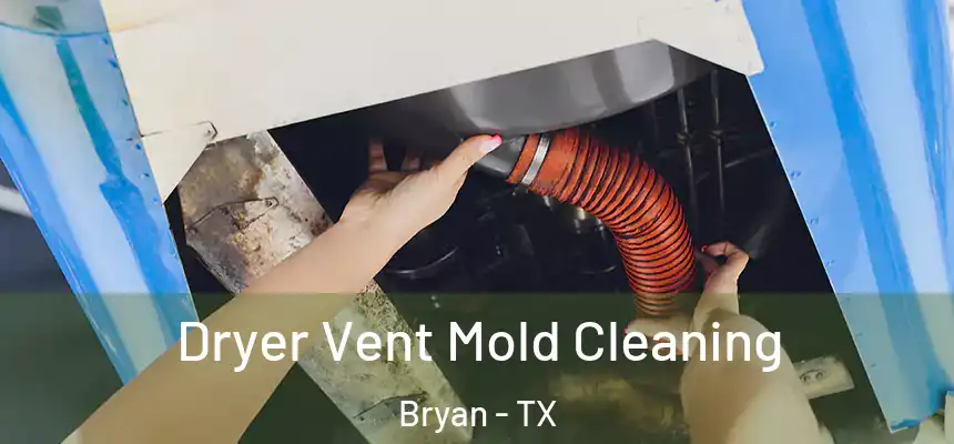 Dryer Vent Mold Cleaning Bryan - TX