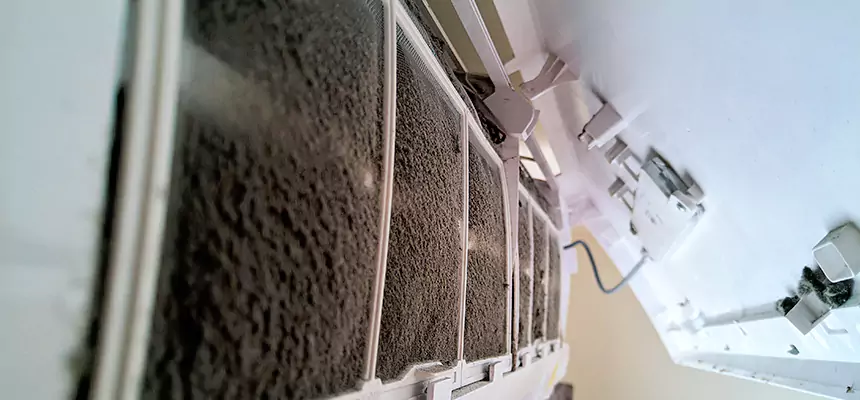 Preventive Air Duct Bacteria Removal in Bryan