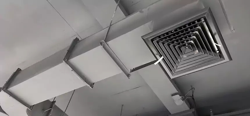 Restorative Allergy Relief Vent Cleaning – Coil, Blower & Housing Detail in Bryan