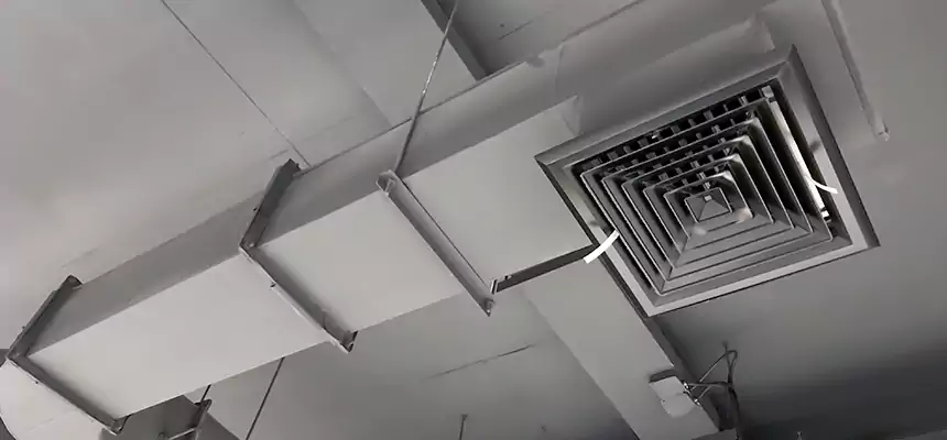 Our Pest Removal From Ducts Services in Bryan, TX