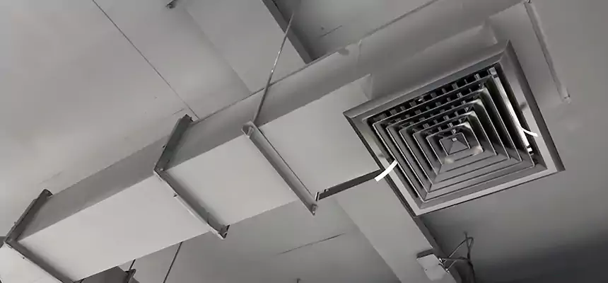 Our Rodent Droppings In Vents Services in Bryan, TX