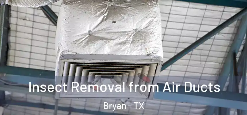 Insect Removal from Air Ducts Bryan - TX