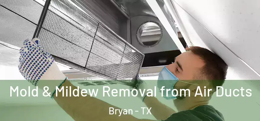 Mold & Mildew Removal from Air Ducts Bryan - TX
