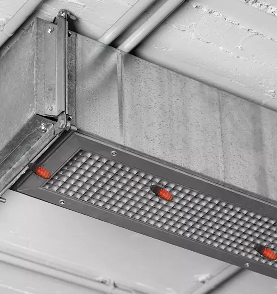 About Air Duct Cockroach Removal in Bryan, TX