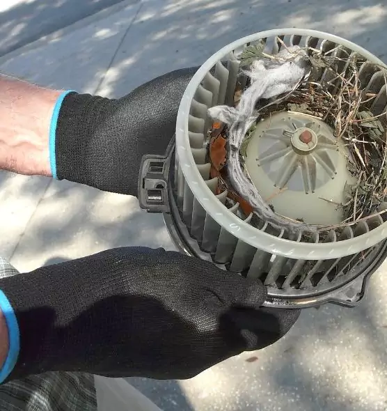 About Air Duct Rat Removal in Bryan, TX