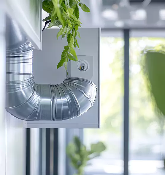 Professional Eco-Friendly Duct Cleaning Services in Bryan, TX