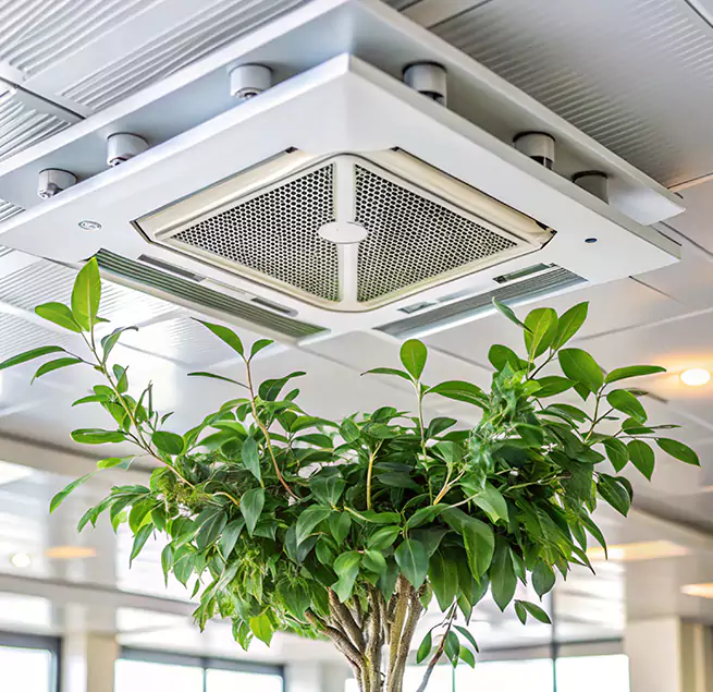 Why Homeowners & Businesses Trust Us in Bryan, TX?