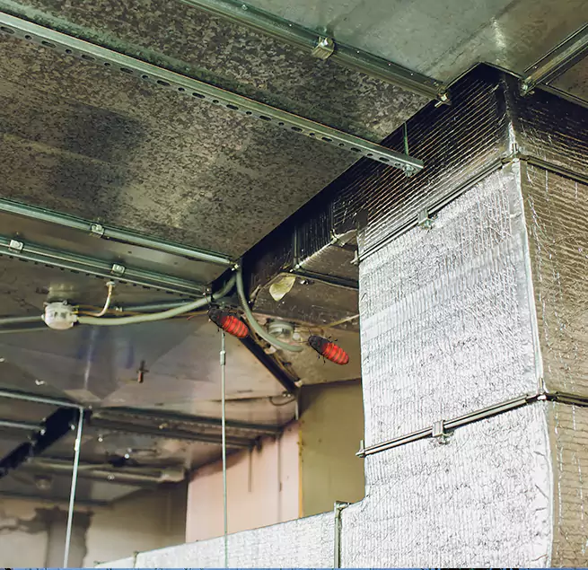 Why Homeowners & Businesses Trust Us Bryan, TX?